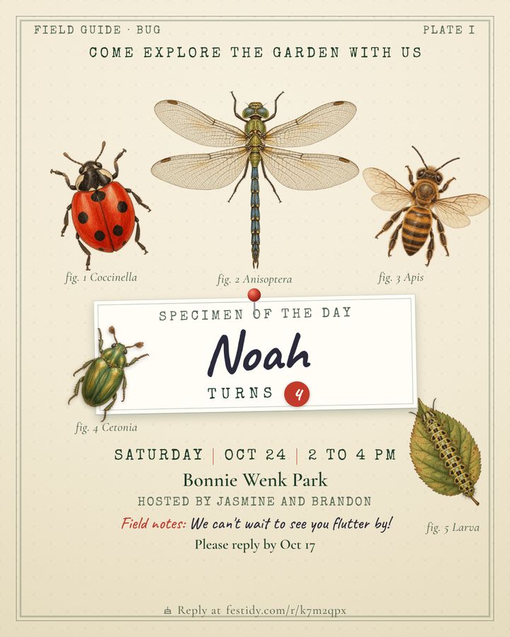 Bugs and butterflies invitation, Field guide design
